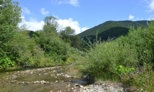 Zdjcie SOWACJA / yliski kraj / Prosiek / Prosieczne II