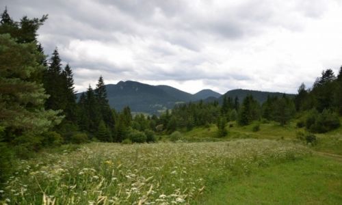 Zdjęcie SłOWACJA / Żyliński kraj  / Valaska Dubova / W drodze na Velky Chocz