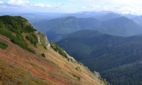 Zdjcie SOWACJA / Tatry Zachodnie / Osobita / Widok z Osobitej II