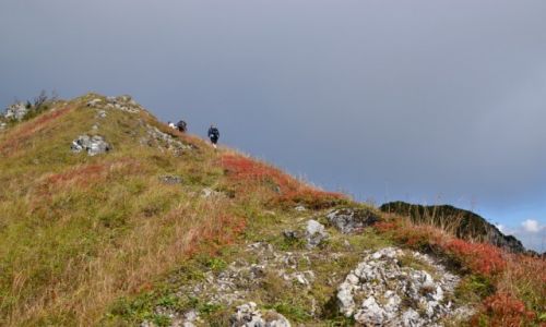 Zdjcie SOWACJA / Tatry Zachodnie / Osobita / W drodze na Osobit