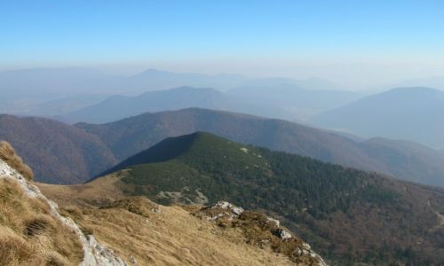 Zdjcie SOWACJA / Maa Fatra / Hromowe / Widok na Nine Tatry
