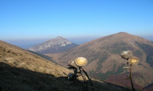Zdjcie SOWACJA / Maa Fatra / Sedlo v Stenach / Rozsutec i Stoh