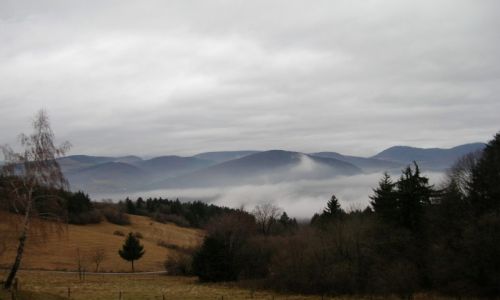 Zdjęcie SłOWACJA / Mała Fatra / Jedlovina / Pod Jedlovinou