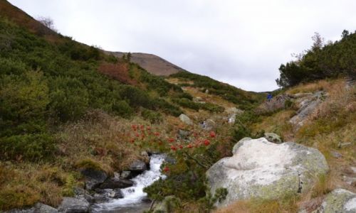 Zdjcie SOWACJA / Tatry Zachodnie / Dolina Bystra / Bystra Dolina II