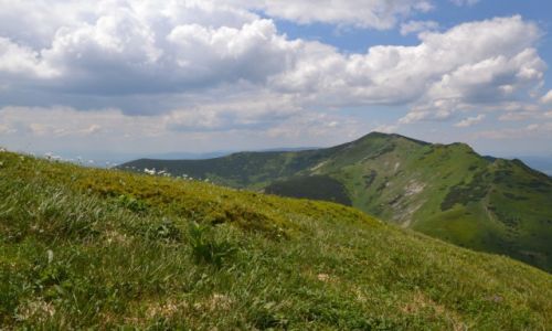 Zdjęcie SłOWACJA / Mała Fatra / Piekielnik / Widok na Mały Krywań