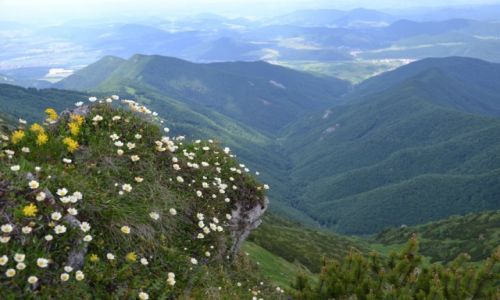 Zdjecie SOWACJA / Maa Fatra / May Krywa Fatrzaski / Widok na Bielask Dolin