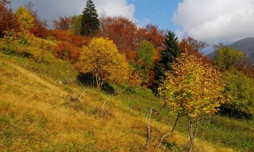 Zdjecie SOWACJA / Maa Fatra / szlak pod Chlebem / Jesie. Mwi, e smutna.