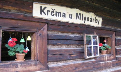 Zdjcie SOWACJA / Tatry Zachodnie / Skansen w Brestowej. / Na niepogod