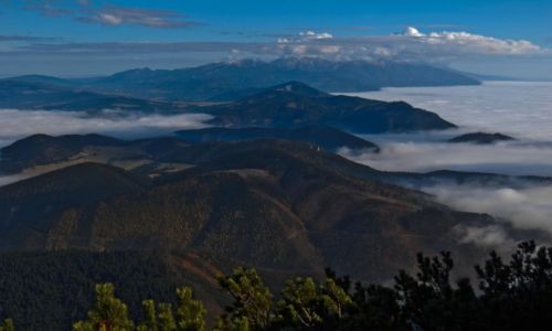 Zdjecie SOWACJA / Orawa- Karpaty Zachodnie / Wielki Chocz- widok na Tatry Zachodnie / W gry! W gry, miy bracie!