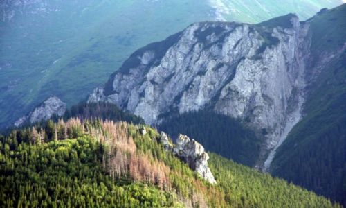 Zdjęcie SłOWACJA / Zdiar / Zdiar / Słowackie Tatry