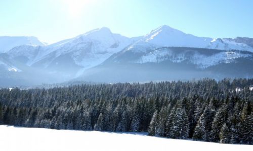 Zdjęcie SłOWACJA / Tatry Vysokie / Łysa Polana / W drodze do Smokovca