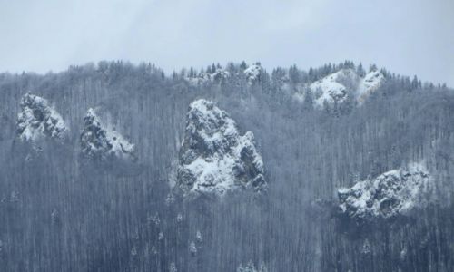 Zdjcie SOWACJA / Maa Fatra / Vratna / Samotne skaki