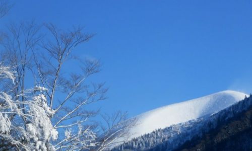 Zdjęcie SłOWACJA / Mała Fatra / Terchova / Zimowy widoczek