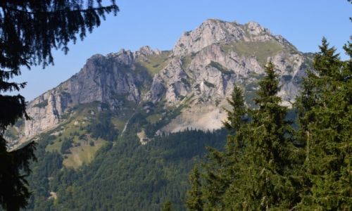Zdjecie SłOWACJA / Mała Fatra / Zbocze góry Stoh / Najpiękniejszy szczyt Słowacji