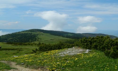 Zdjcie SOWACJA / tatry zachodnie / okolice siwego wierchu / widok na szczyt Babki