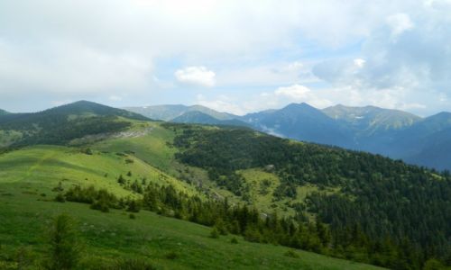 Zdjcie SOWACJA / tatry zachodnie / okolice siwego wierchu / Tatry Zachodnie