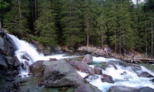 SOWACJA / Poprad / Dolina Zimnej Wody / Zimny Potok