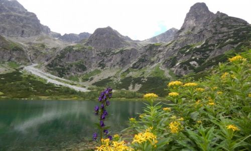 Zdjecie SOWACJA / Tatry Wysokie / Zielony Staw Kiemarski / Zielono mi w duszy