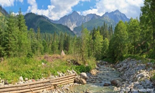 Zdjcie SOWACJA / Tatry / Dolina Jaworowa / Dolina Jaworowa