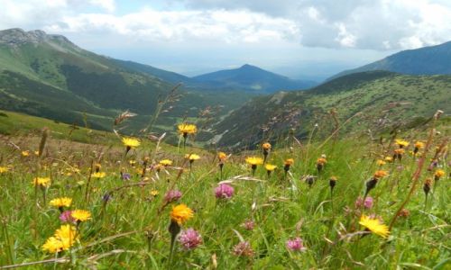Zdjcie SOWACJA / Tatry / Tatry Bielskie / ka