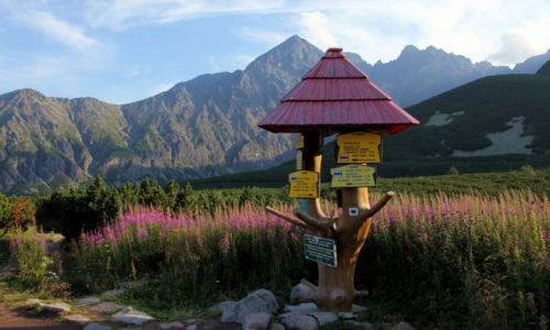 Zdjcie SOWACJA / Tatry Bielskie / Dolina Biaych Staww  / Na rozstaju drg