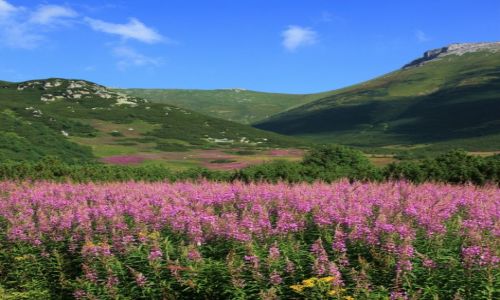 Zdjecie SOWACJA / Tatry Bielskie / Rakuska Polana / Trzy kolory