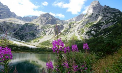 Zdjecie SOWACJA / Tatry Wysokie / Zielony Staw Kiemarski / Moje Tatry