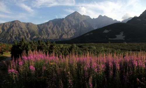 Zdjecie SOWACJA / Tatry Bielskie / Dolina Biaych Staww  / W promieniach zachodzcego soca