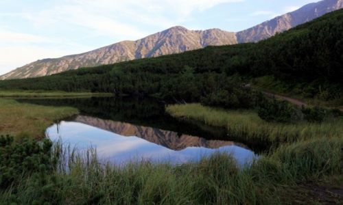 Zdjecie SOWACJA / Tatry / Dolina Biaych Staww  / Lustereczko