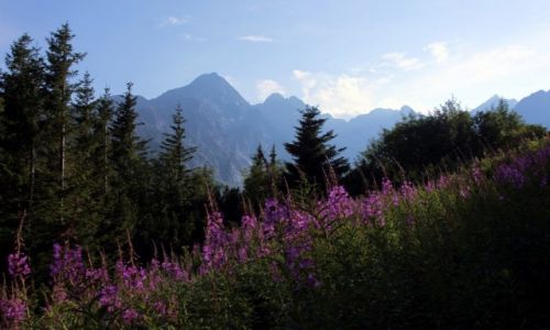 Zdjcie SOWACJA / Tatry / Rakuska Polana / Skosy i piony
