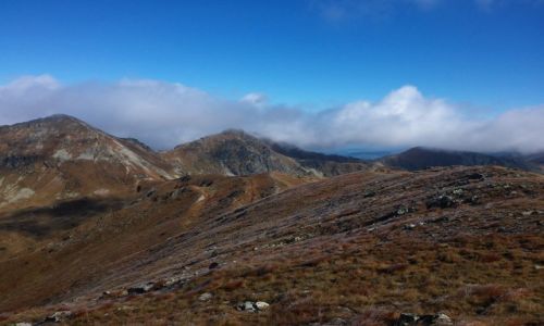 Zdj�cie S�OWACJA / Tatry Zachodnie / okolice Smreka / Rohacze ...