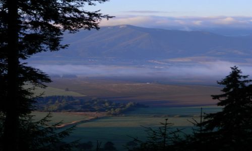 Zdjęcie SłOWACJA / Tatry Zachodnie / w drodze na baraniec / Niskie Tarty o wschodzie