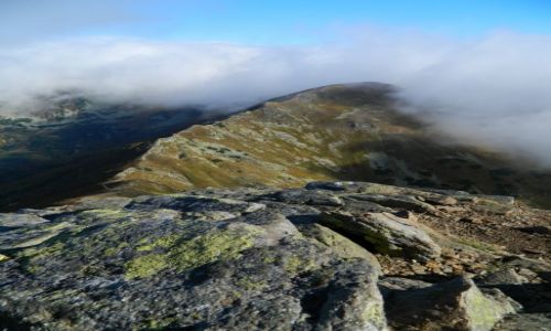 Zdjęcie SłOWACJA / Tatry Zachodnie / w drodze na Smreka / Smrek się Budzi