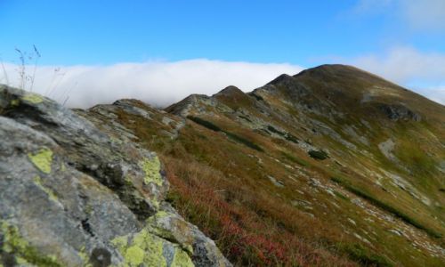 Zdjęcie SłOWACJA / Tatry Zachodnie / w drodze na Smreka / grań Smreka