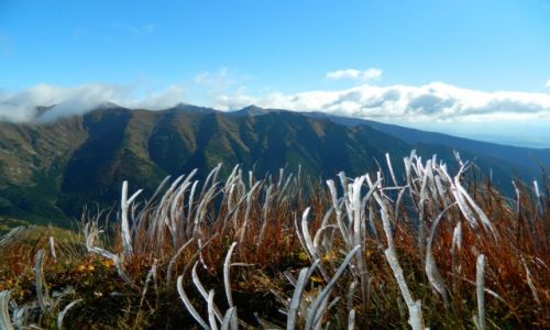 Zdjecie SOWACJA / tatry zachodnie / Smrek / widok ze Smreka