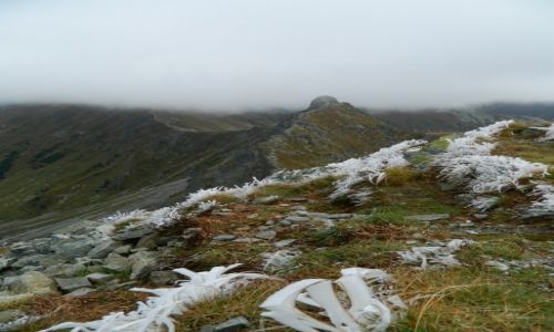 Zdj�cie S�OWACJA / tatry zachodnie / rohacz / widok z p�aczliwego na ostry