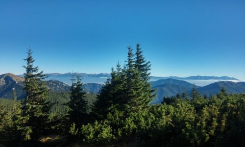 Zdj�cie S�OWACJA / Tatry Niskie / okolice Boru  / magiczne Tatry :)