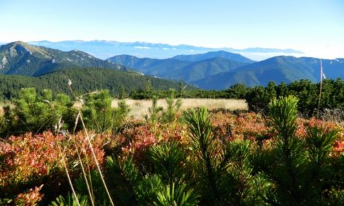 Zdj�cie S�OWACJA / Tatry Niskie / okolice Boru  / Kolory jesieni w Tatrach Niskich