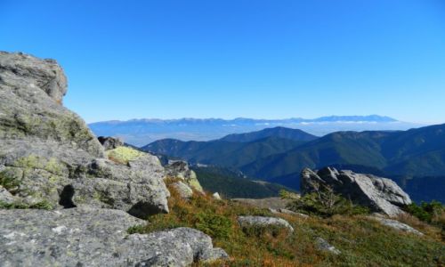 Zdjęcie SłOWACJA / Tatry Niskie / okolice Derese / Tatry Niskie z widokiem na Wysokie