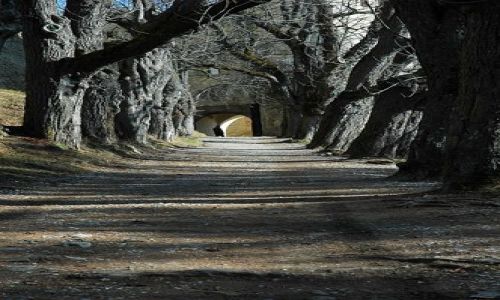 Zdjęcie SłOWACJA / wschodnia Słowacja -Spisz / Zamek w Starej Lubowli.  / ...