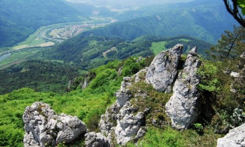 Zdjcie SOWACJA / Karpaty Zachodnie / Szypska Fatra / Pynie wije si rzeczka