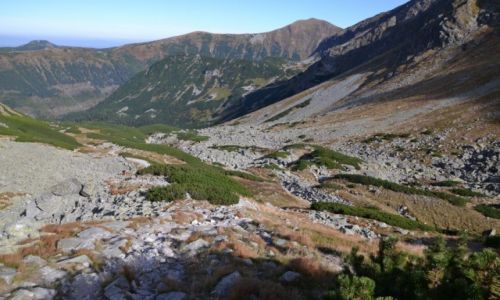 Zdjęcie SłOWACJA / Tatry Zachodnie / Pod Hrubou / Spalona Dolina