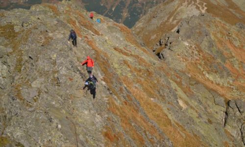 Zdjęcie SłOWACJA / Tatry Zachodnie / Pod Banikovem / Trawers