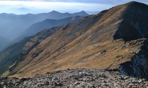 Zdjcie SOWACJA / Tatry Zachodnie / Banikovske Sedlo / Widok w stron Siwego