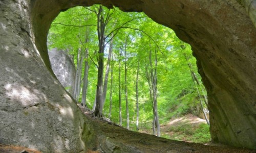 Zdjecie SOWACJA / Karpaty Centralne / Sulovskie Skaly / Okno