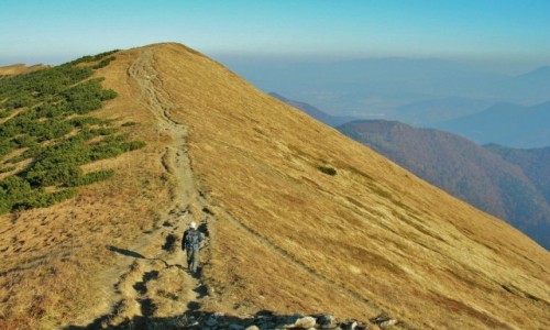 Zdjcie SOWACJA / Maa Fatra / Hromowe / W drodze na Poudniowy Gro
