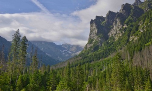 Zdjecie SOWACJA / Tatry / Dolina Biaej Wody / Spacer dolin