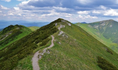 Zdj�cie S�OWACJA / Ma�a Fatra / Ma�y Krywa�  / Na Ma�ym Krywaniu II