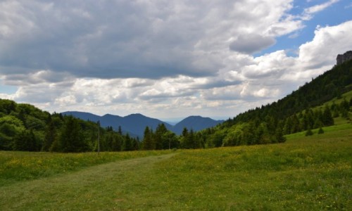 Zdjecie SOWACJA / Maa Fatra / Przecz Medziholie / Widok na Sokolie