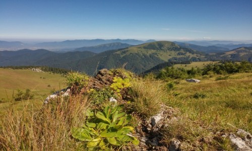 Zdjcie SOWACJA / wielka Fatra / pasmo fatry / Wielka Fatra 